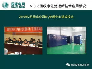 六氟化硫（SF6）氣體回收凈化處理技術(shù)推廣應(yīng)用